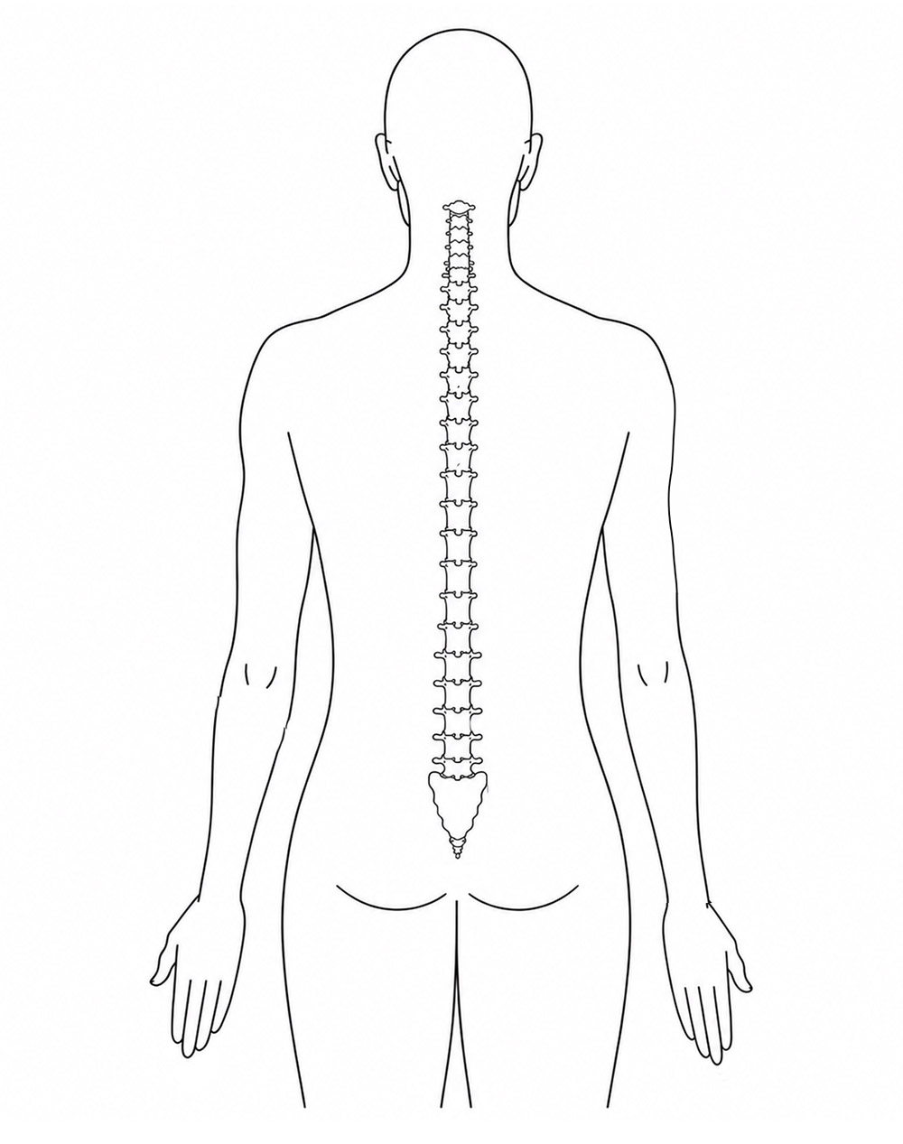Spine pain area selector